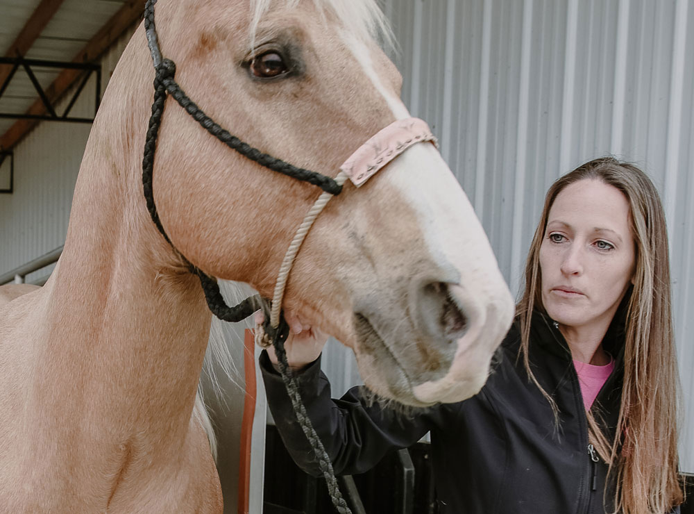 Amanda Morgan, de Morgan Dairy Performance Horses, parada junto a un caballo palomino mientras lo saca de una cámara de masajes.